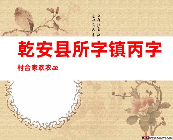 乾安县所字镇丙字村合家欢农机种植专业合作社