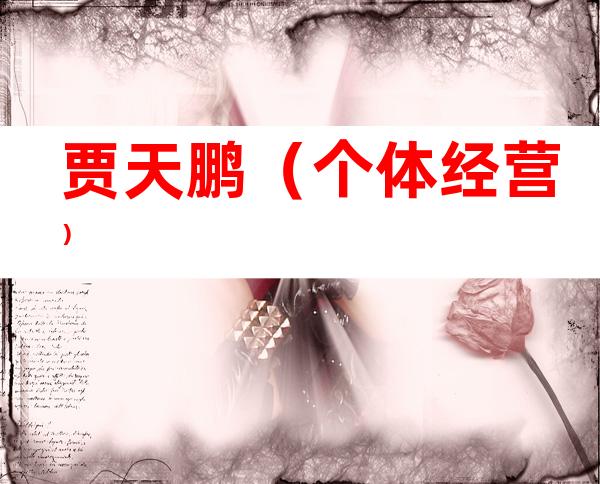 贾天鹏（个体经营）